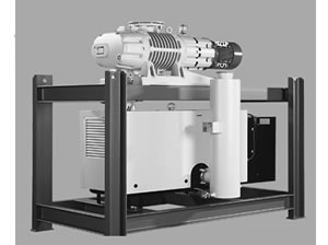 Leybold Fore Vacuum Pump Systems